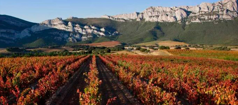 interior-rioja