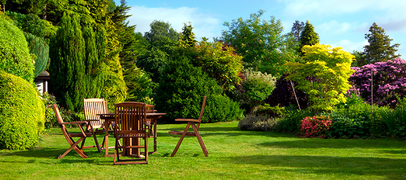 cuidar-jardin-verano