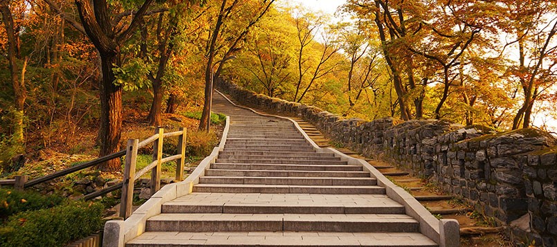 adaptarse-a-la-falta-de-luz-en-otoño-con-cambios