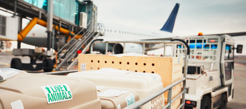 Toda la logística de los transportes es difícil de comprender