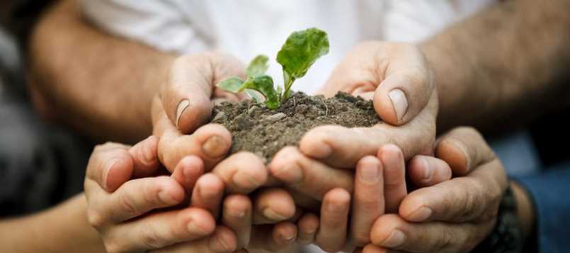 Busca los limpiadores más ecológicos para el hogar 