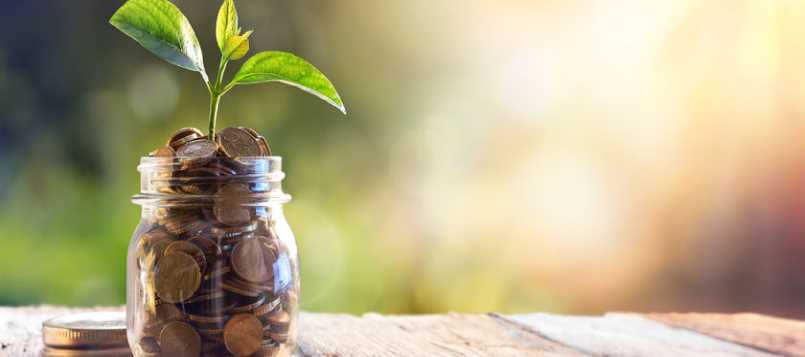 Respeta el ambiente convirtiendo tu hogar más ecológico