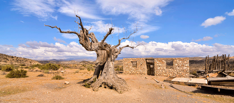 Descubre-la-costa-de-Almeria