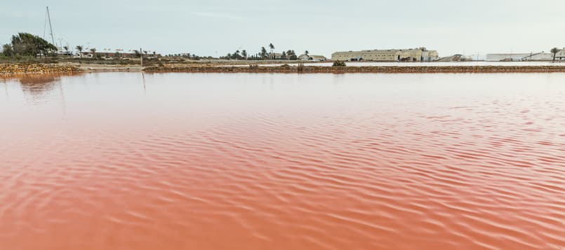 Descubre-Costa-Cálida