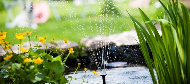 Cómo-ahorrar-agua-8