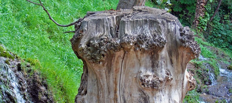 Monasterio-de-Piedra-10-1