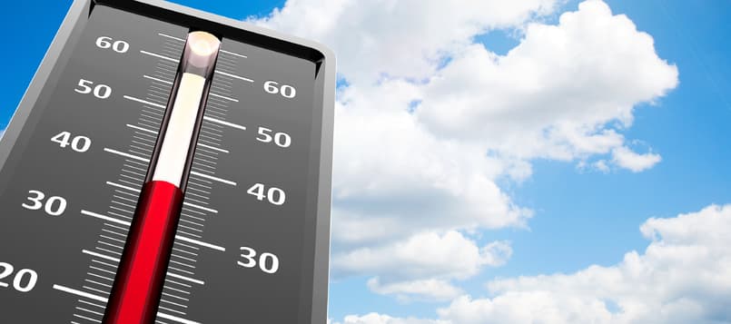 Cambio-de-temperatura-una-causa-de-la-astemia-61