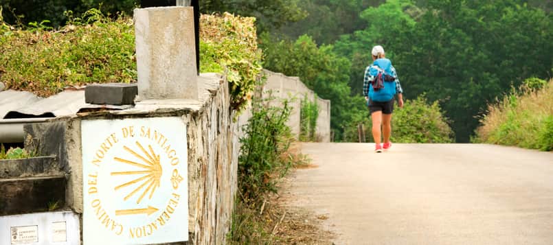 Descubre-el-Camino-Sanabrés-8