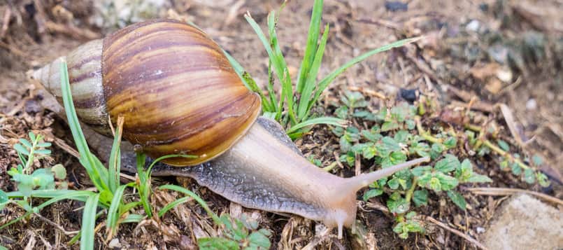 Descubre-Bárdenas-Reales-7