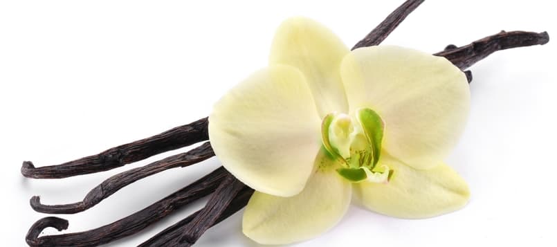 Qué-sabores-se-pueden-hacer-los-batidos-caseros-5