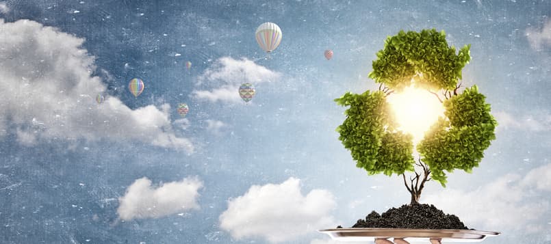 Reciclar-para-proteger-el-medio-ambiente-4