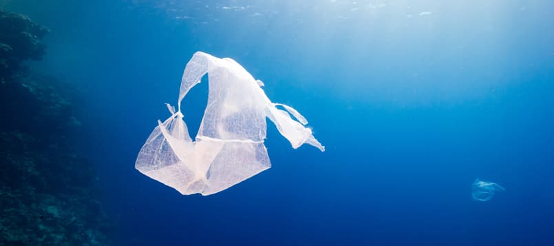 Ideas-para-defender-el-medio-ambiente-6