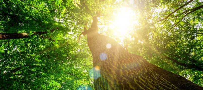 No-contaminar-para-proteger-el-medio-ambiente-8