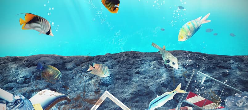 7 cosas para salvar los océanos 1