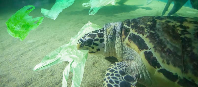 Medidas-para-salvar-los-océanos-2