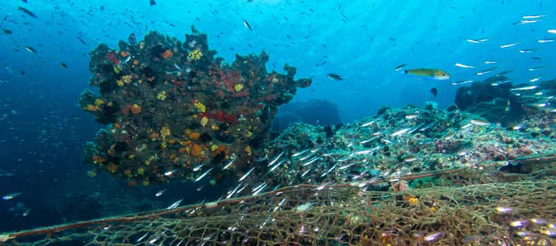 Qué-hacer-para-salvar-los-océanos-3