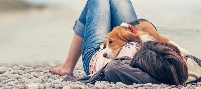 Prepáralo-todo-antes-de-ir-a-la-playa-con-tu-perro