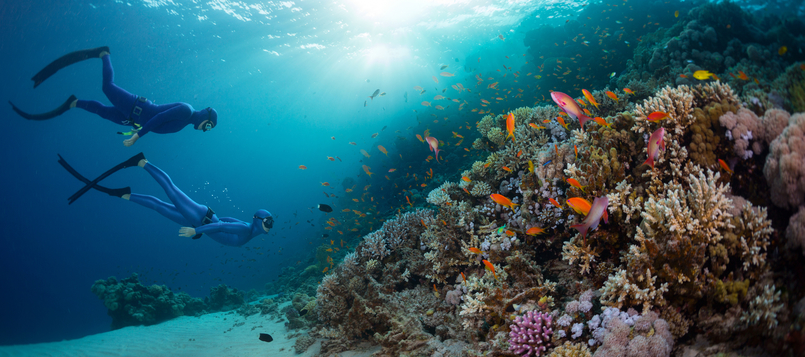Pautas-para-bucear-en-invierno-en-España-4