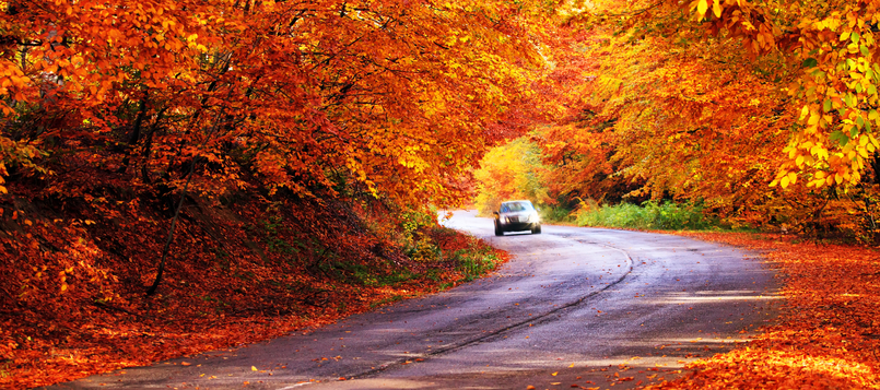 cómo conducir tu coche en invierno 5