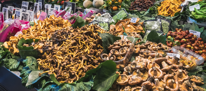 cómo preparar las setas más representativas 1