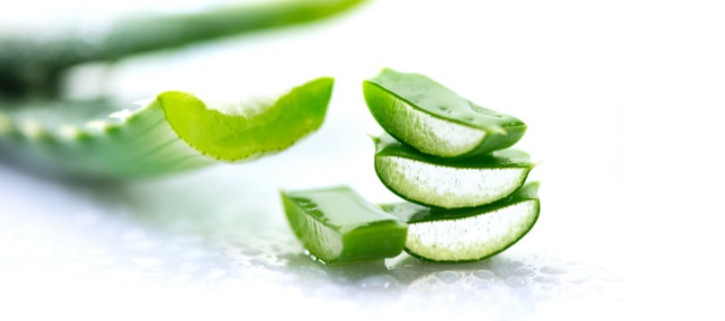 beneficios-del-aloe-vera-7