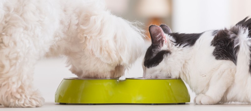 el-internet-de-los-objetos-4